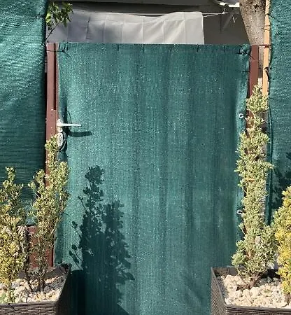 Miko אימוטסקי