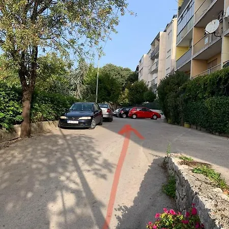 Miko * אימוטסקי